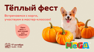 Теплый фест с корги в МЕГЕ