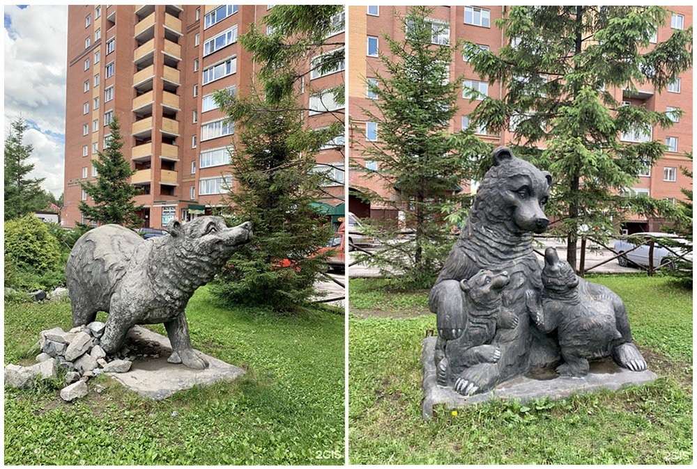 Семья медведей в Новосибирске Семья медведей в Новосибирске