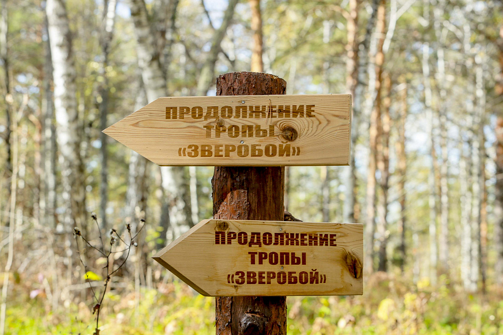 Фото: Павел Комаров