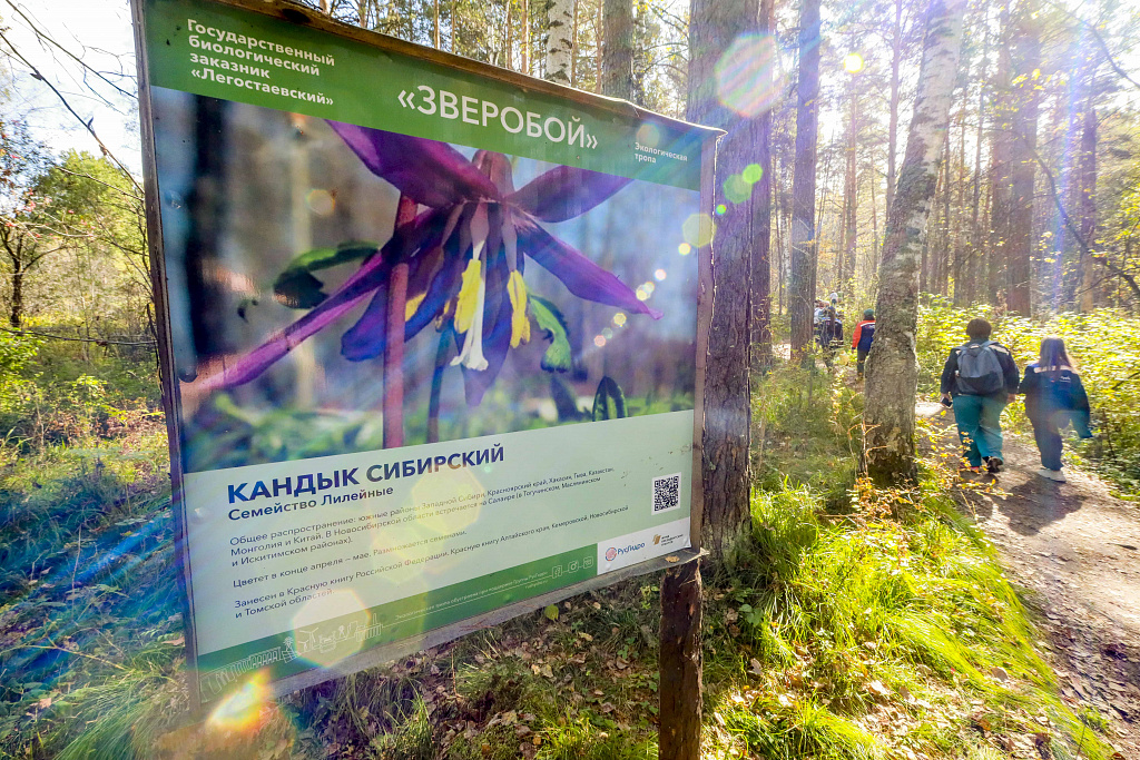 Фото: Павел Комаров