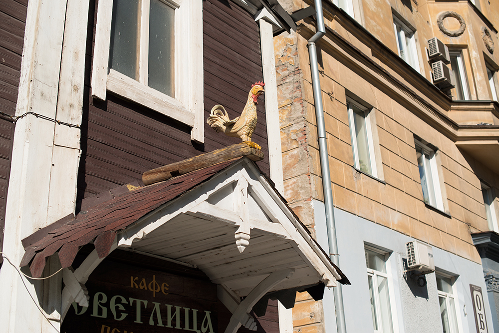 Фото: Наталья Липатникова